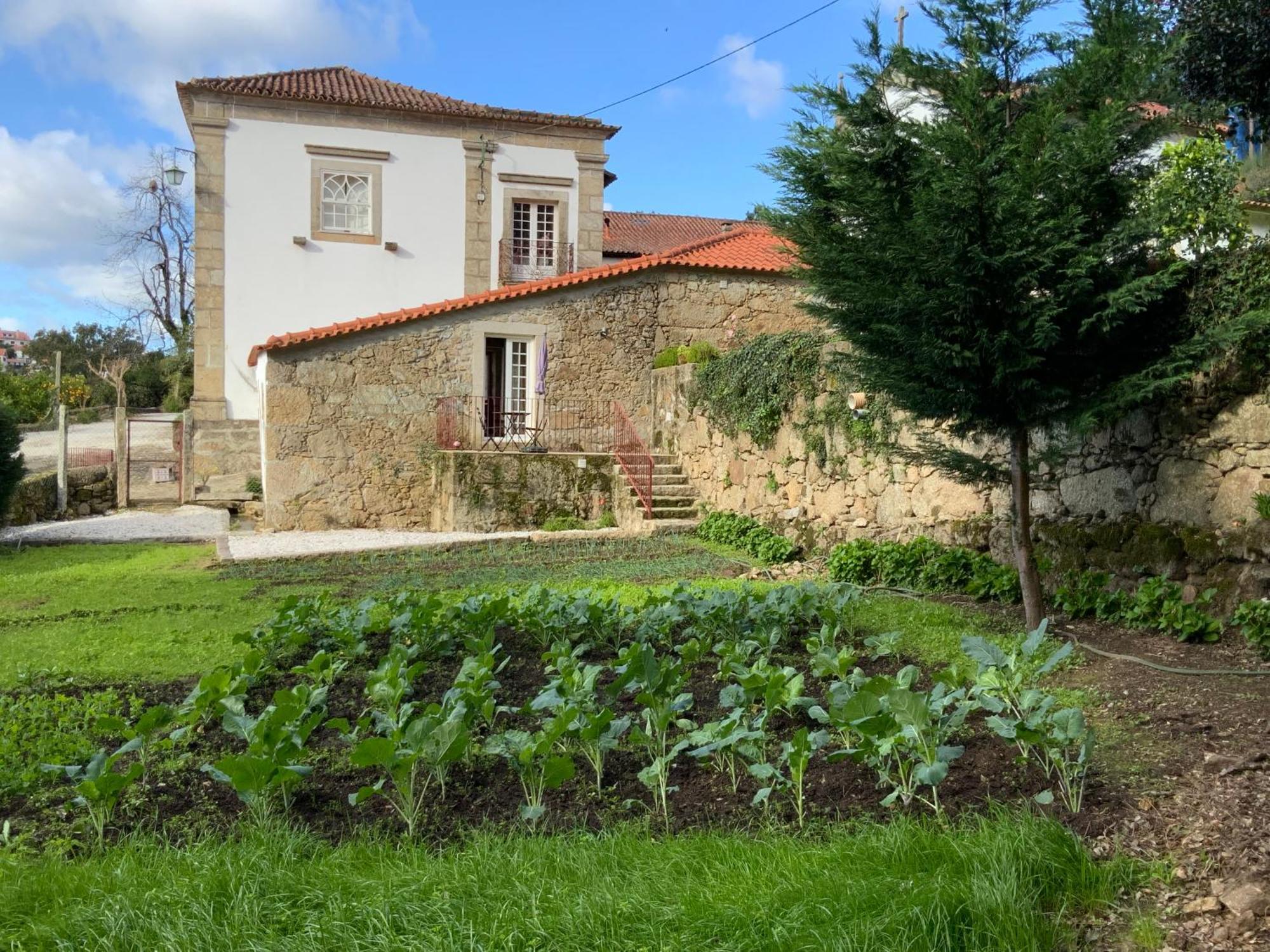 Quinta Do Bravio Villa Barroselas Exterior photo